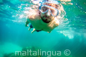 Um aluno snorkeling